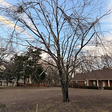 Safe-Again-Storm-Debris-Cleanup-In-Oxford-MS 9